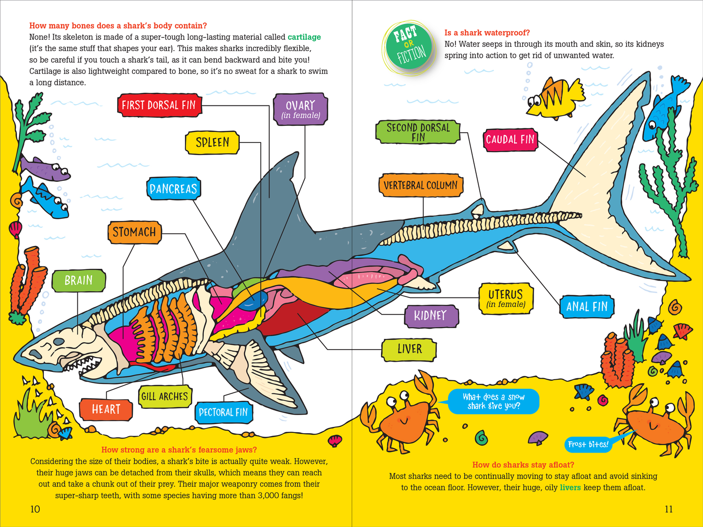 100 Questions About Sharks